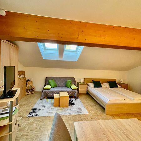 Apartment Ladinger Radstadt Εξωτερικό φωτογραφία