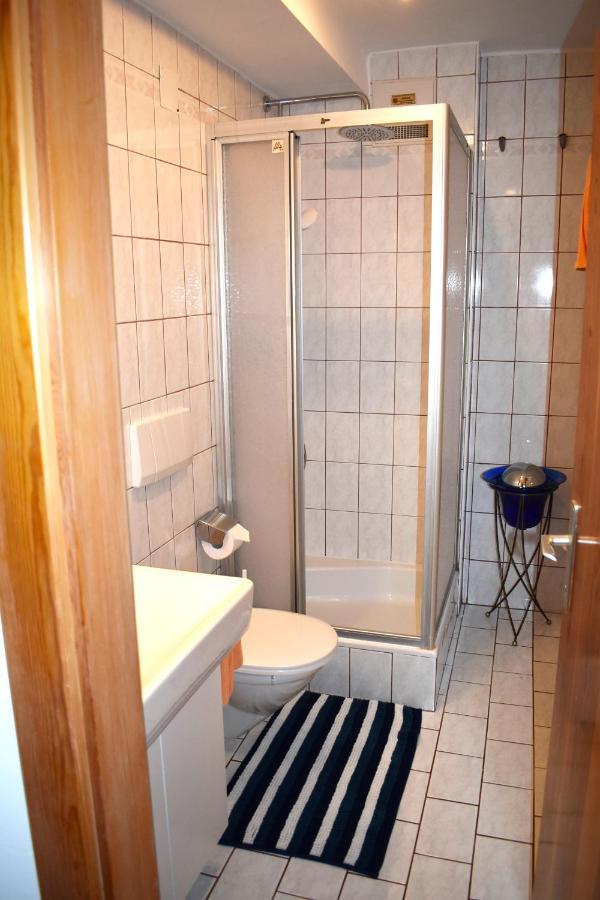 Apartment Ladinger Radstadt Εξωτερικό φωτογραφία